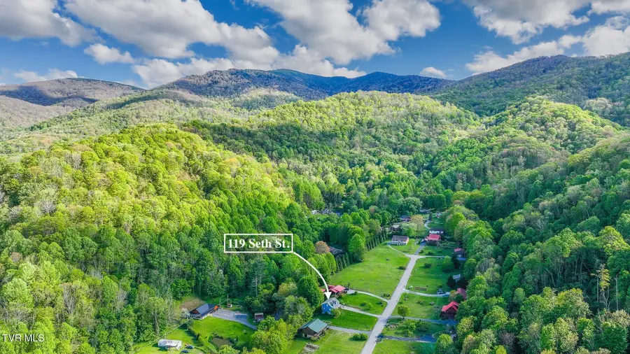 119 Seth Street, Roan Mountain, TN 37687 - #2