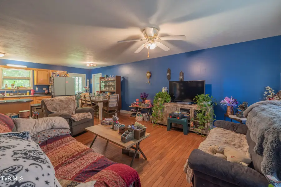 119 Seth Street, Roan Mountain, TN 37687 - #3