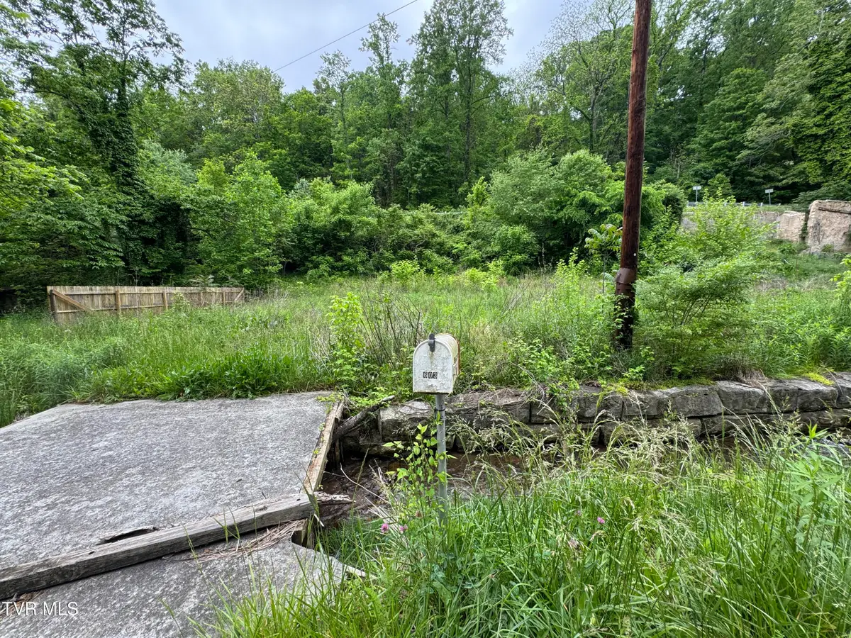 603 Town Branch Road, Jonesville, VA 24263 - Image #1