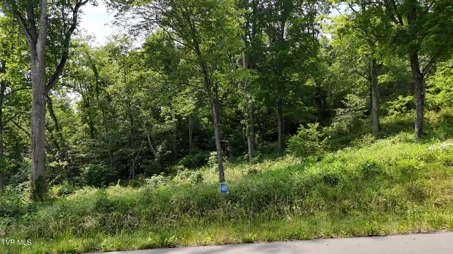 Tr 40 Cowan Town Road, Butler, TN 37640 - Image #2