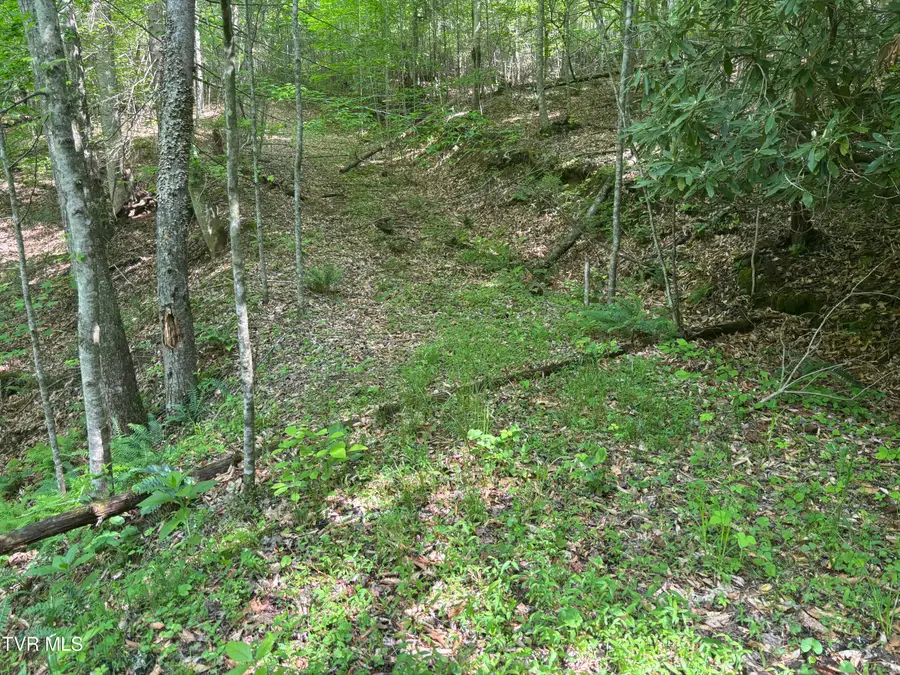 Lot 6b Of Roan Creek Road, Butler, TN 37640 - Image #2