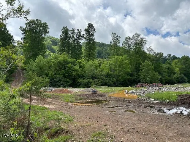 0 Ivanhoe Road, Bristol, VA 24202 - Image #2