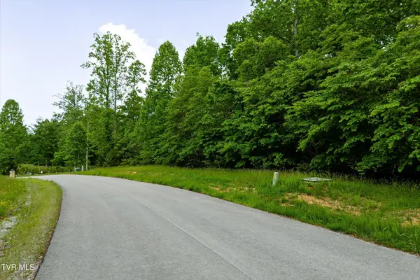 Lot 240 Tanzanite Trail, New Tazewell, TN 37825