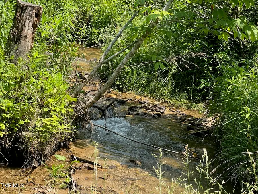 00 Antioch Road, Mountain City, TN 37683 - Image #2