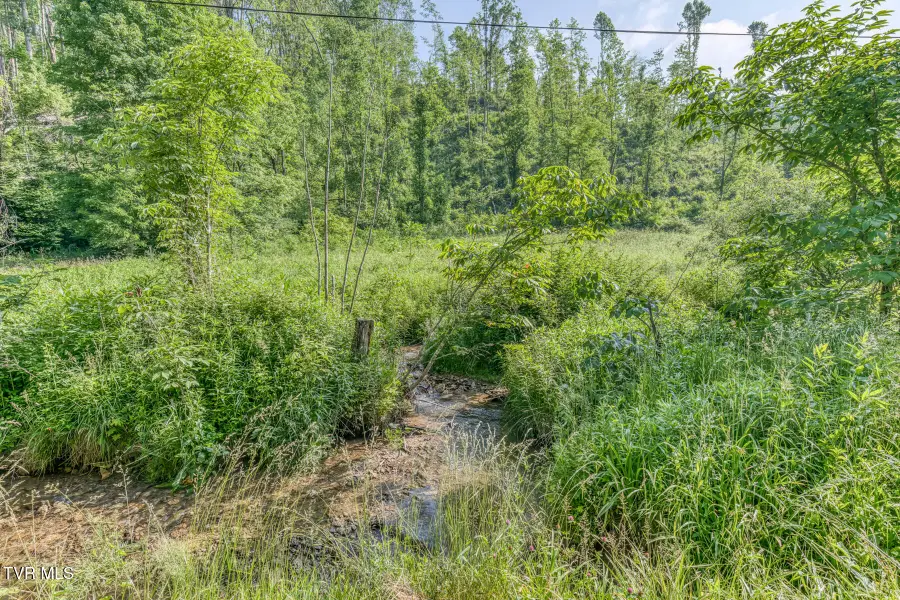 00 Antioch Road, Mountain City, TN 37683 - Image #3
