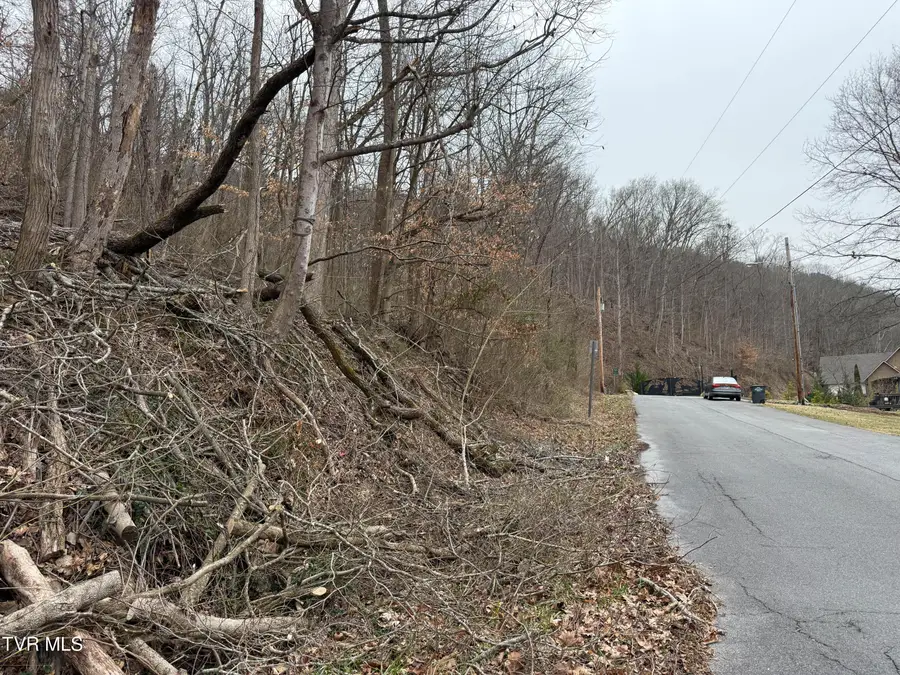 Tbd Kings Bay Drive, Kingsport, TN 37660 - Image #2