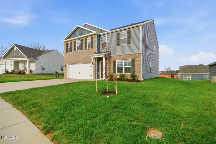 329 Cookie Loop, Johnson City, TN 37615 - Image #3