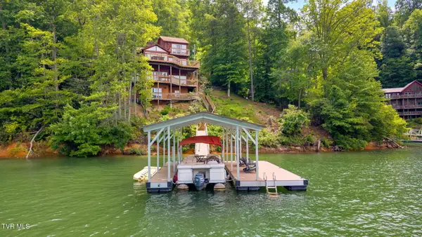 310 Cove Ridge Lane, Butler, TN 37640
