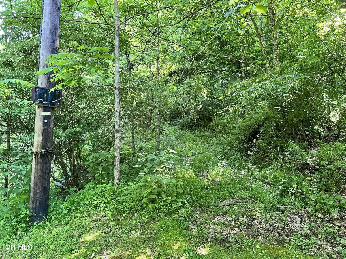 7576 Wells Adams Road, Norton, VA 24273 - Image #1