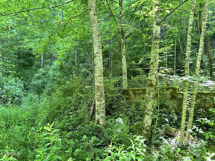 7576 Wells Adams Road, Norton, VA 24273 - Image #3