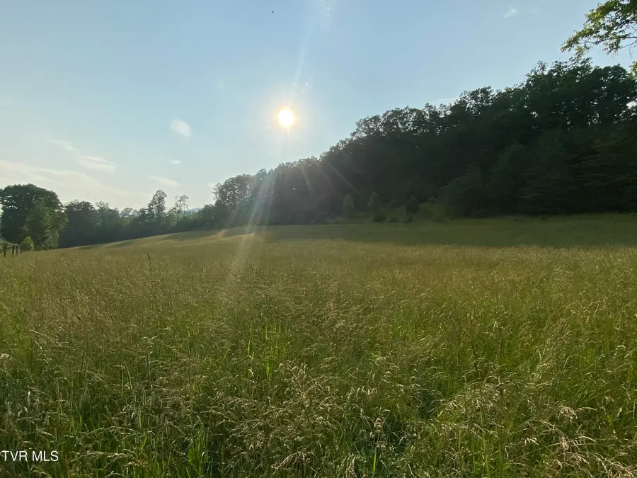 9245 Mendota Road, Mendota, VA 24270 - Image #3