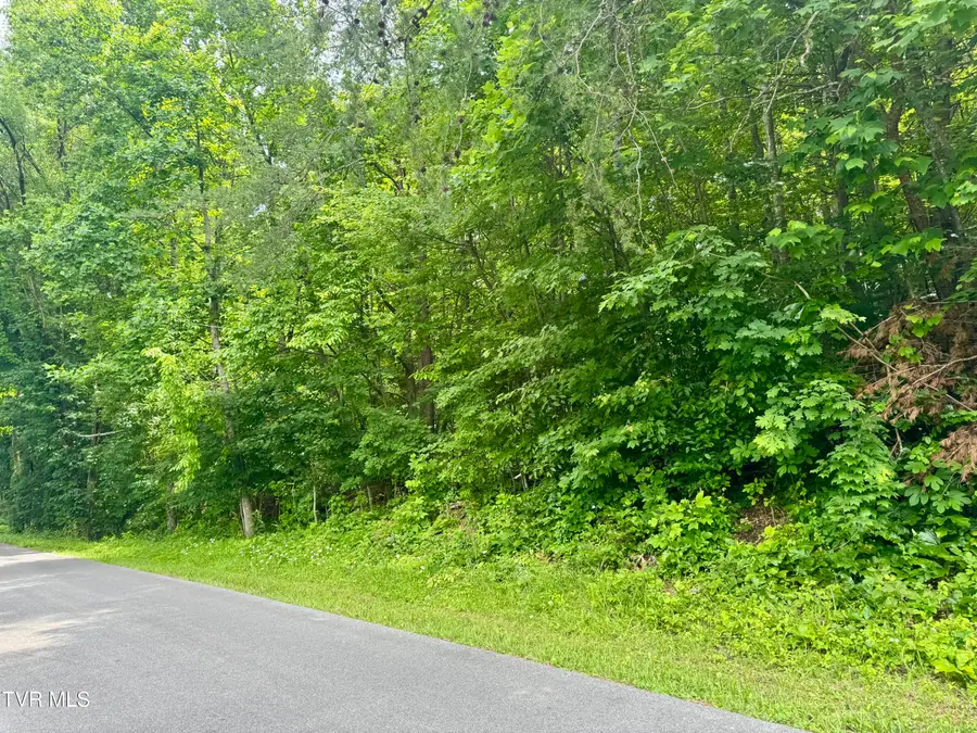 Lot 21 Country Drive, Kingsport, TN 37664 - Image #2