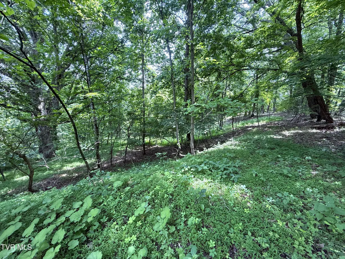 5.74 Acres Bailey Cemetery Road, Tazewell, TN 37879 - Image #1