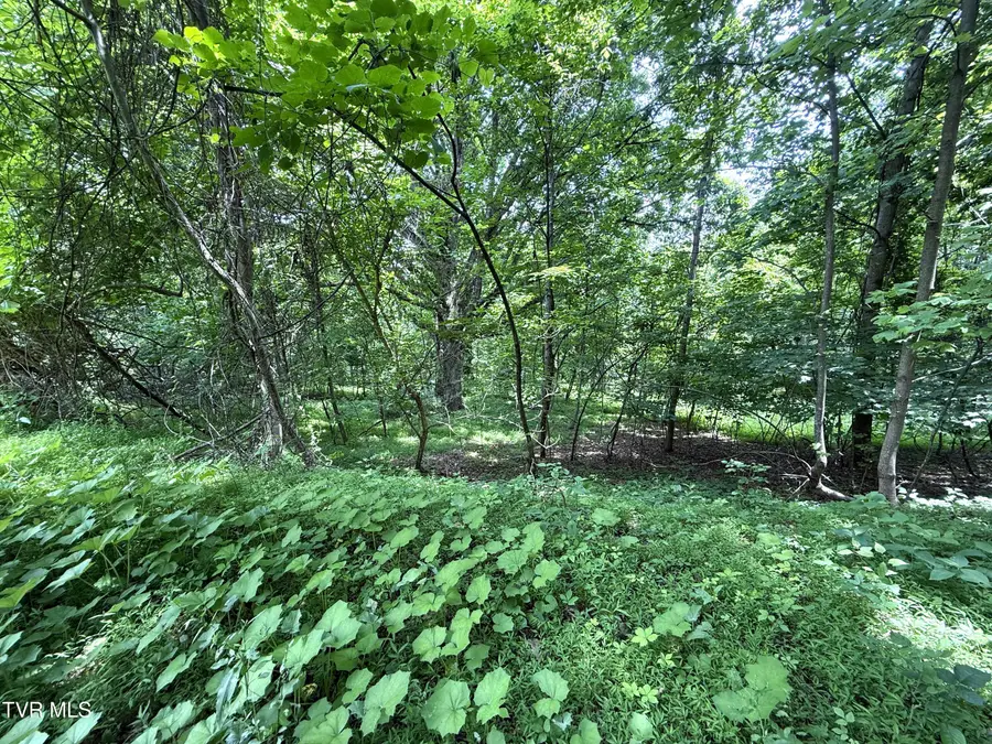 5.74 Acres Bailey Cemetery Road, Tazewell, TN 37879 - Image #2