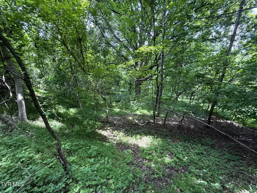 5.74 Acres Bailey Cemetery Road, Tazewell, TN 37879 - Image #3