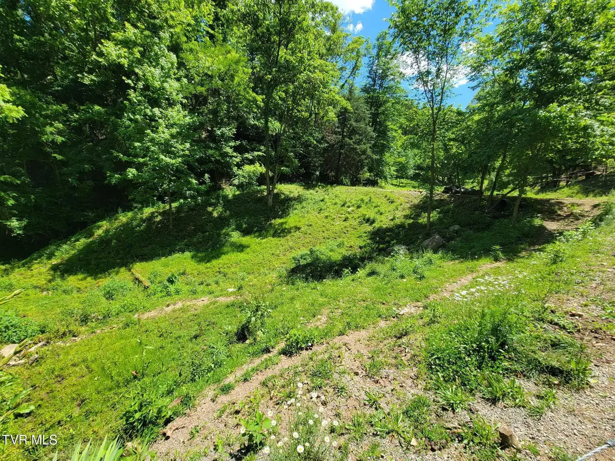 Tract 7 Sandy Valley Road, Rogersville, TN 37857 - Image #1