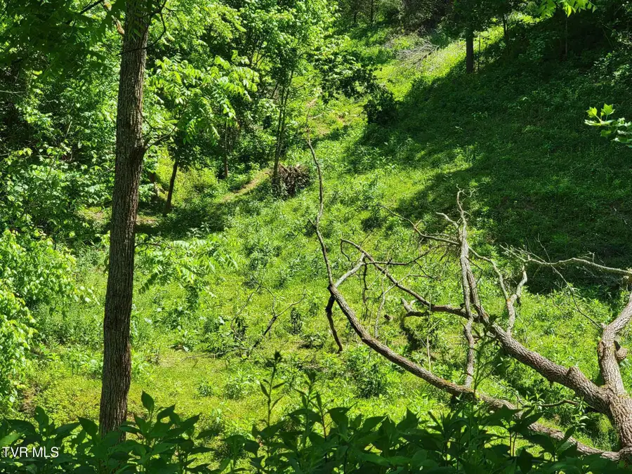 Tract 7 Sandy Valley Road, Rogersville, TN 37857 - Image #3