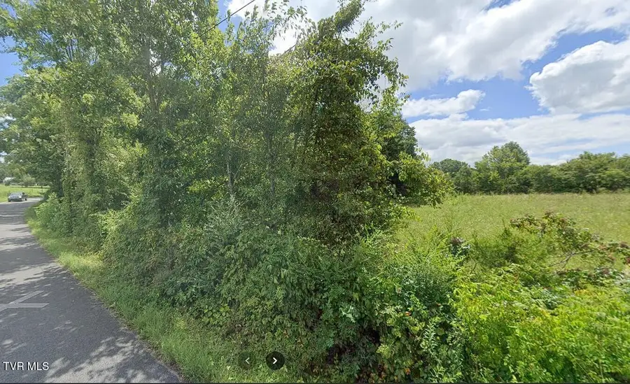 Tbd Wildwood Road, Mosheim, TN 37818 - #3