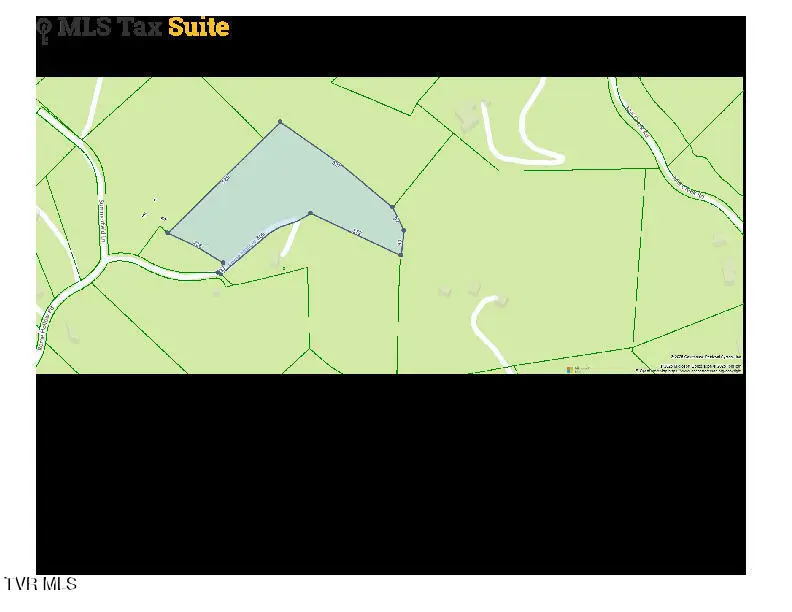 Tbd Rome Hollow Road, Elizabethton, TN 37643 - Image #2