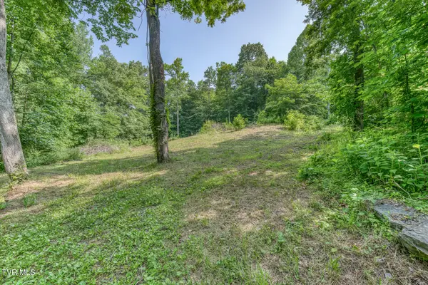 292 Peters Road, Bristol, TN 37620