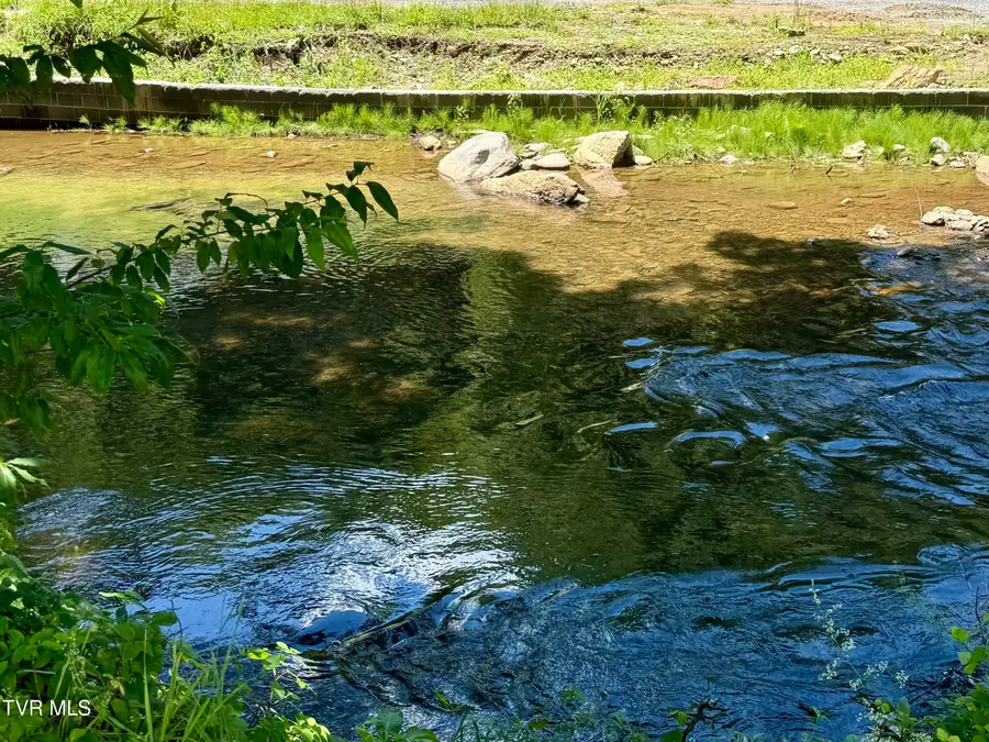 123 Mcmahan Gibbs Road Road, Roan Mountain, TN 37687 - Image #2