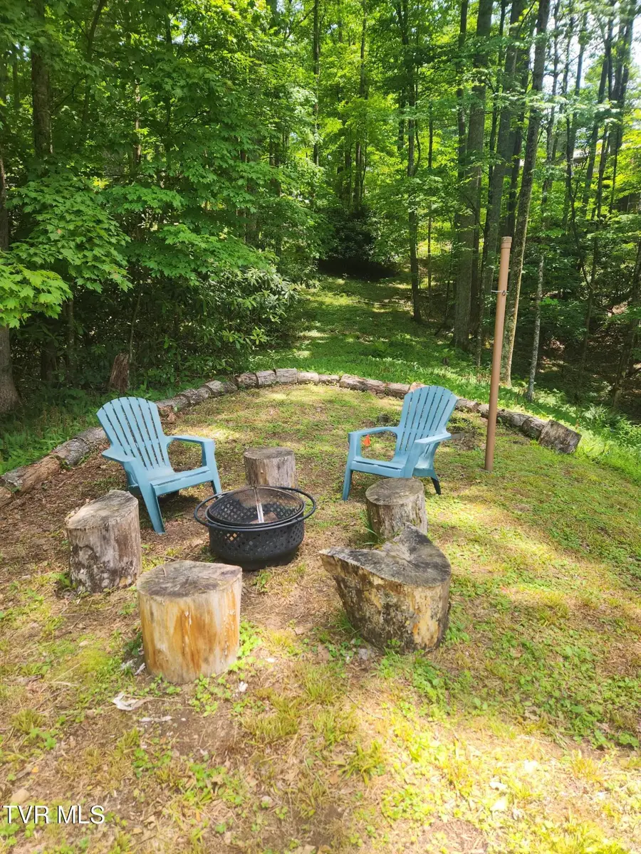 370 Woodland Hills Drive, Elk Park, NC 28622 - Image #2