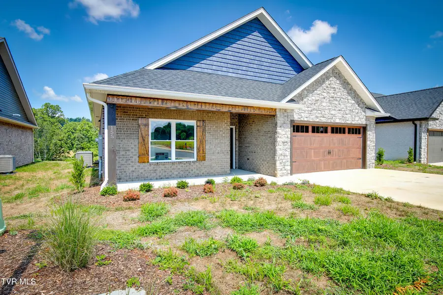 155 Marigold Lane, Jonesborough, TN 37659 - Image #3