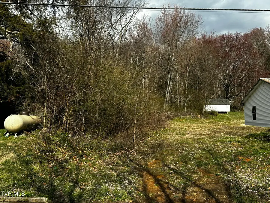 1042 West Vann Road, Greeneville, TN 37743 - #2