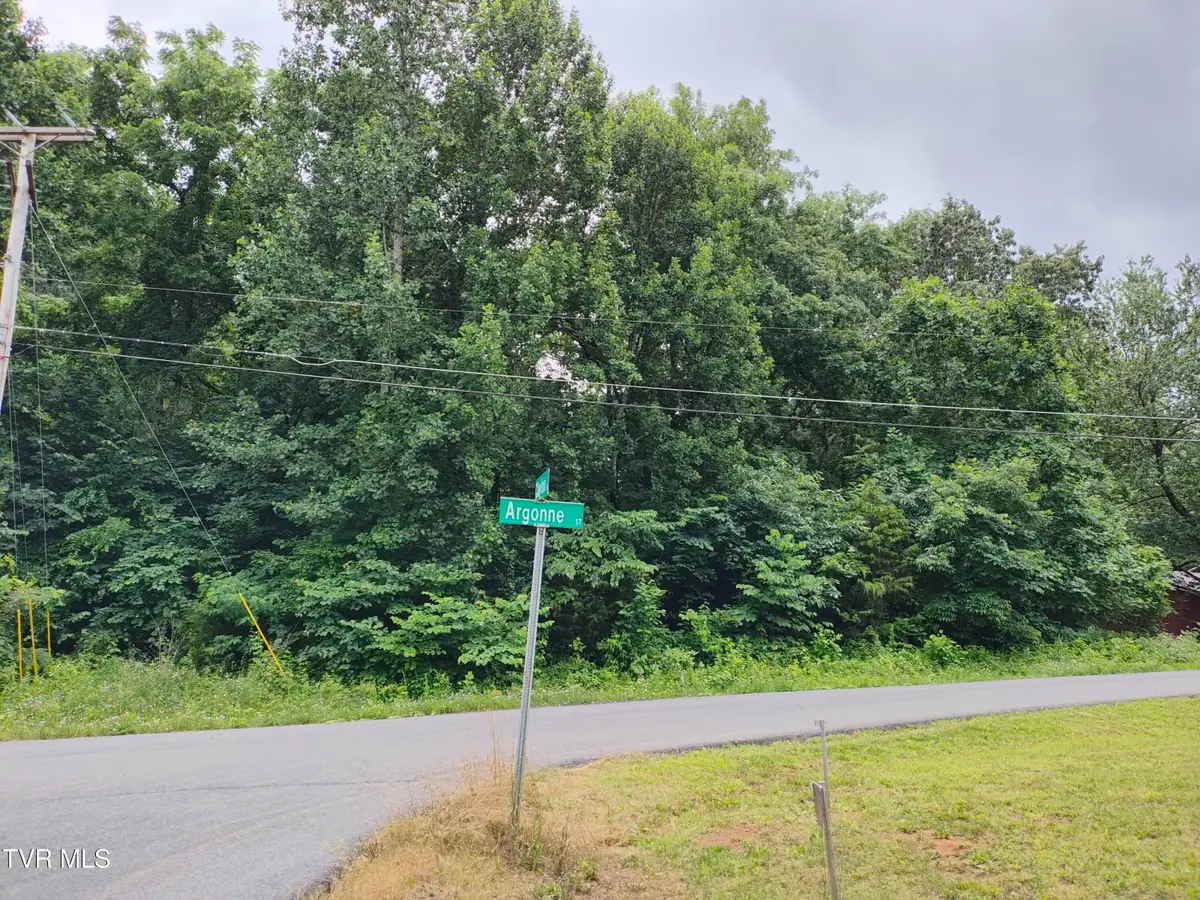 Lot 21 Argonne Street, Kingsport, TN 37664 - Image #1