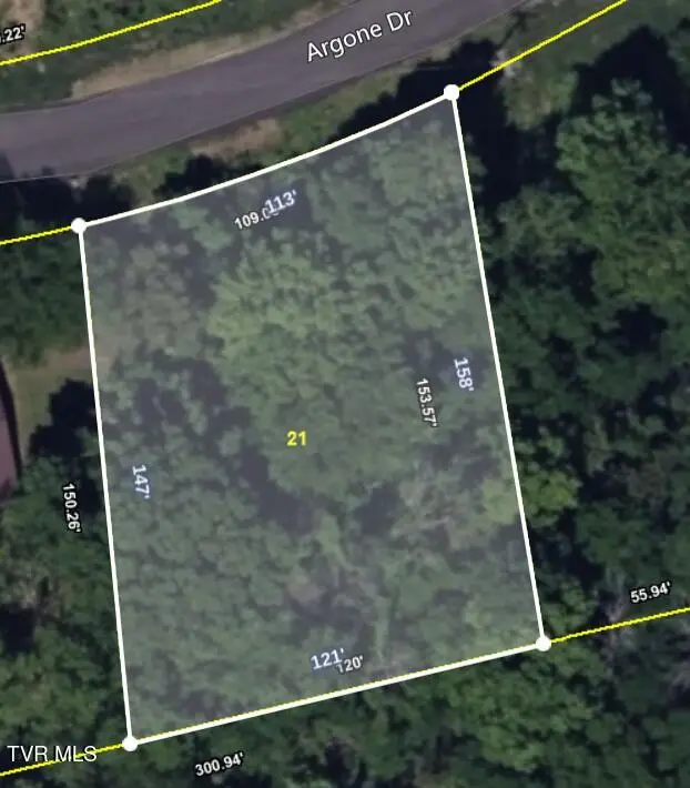 Lot 21 Argonne Street, Kingsport, TN 37664 - Image #2