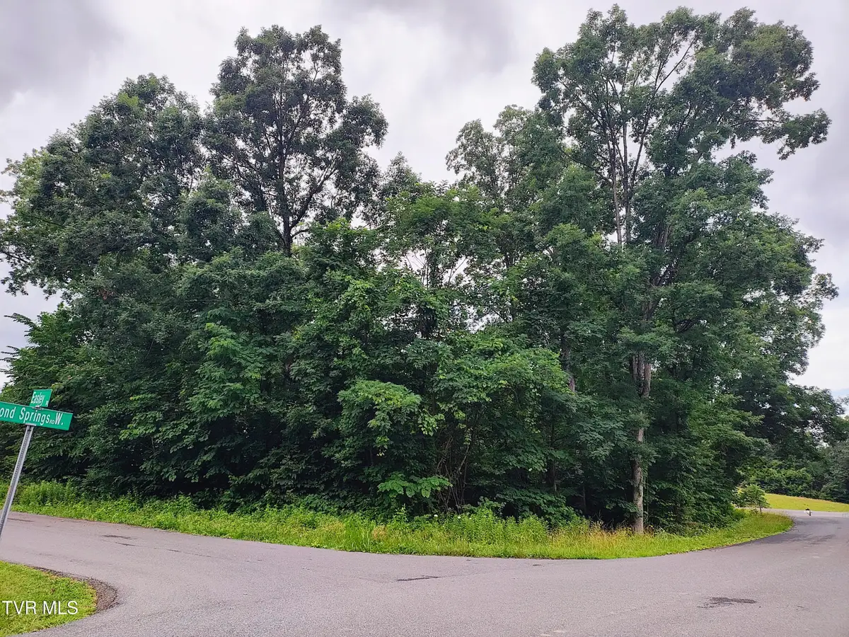 Lot 16 Easley Drive, Kingsport, TN 37664 - Image #1