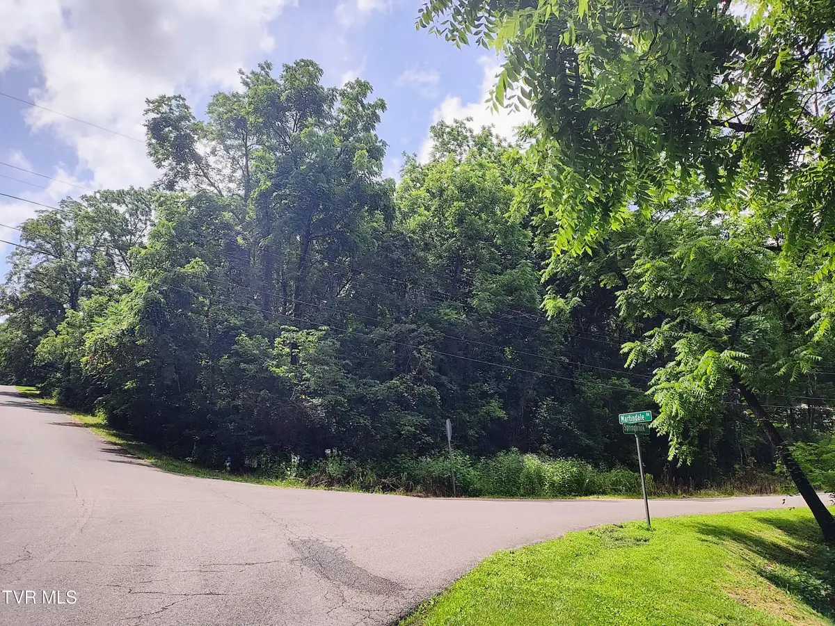 302 Martindale Road, Bristol, TN 37620 - Image #1