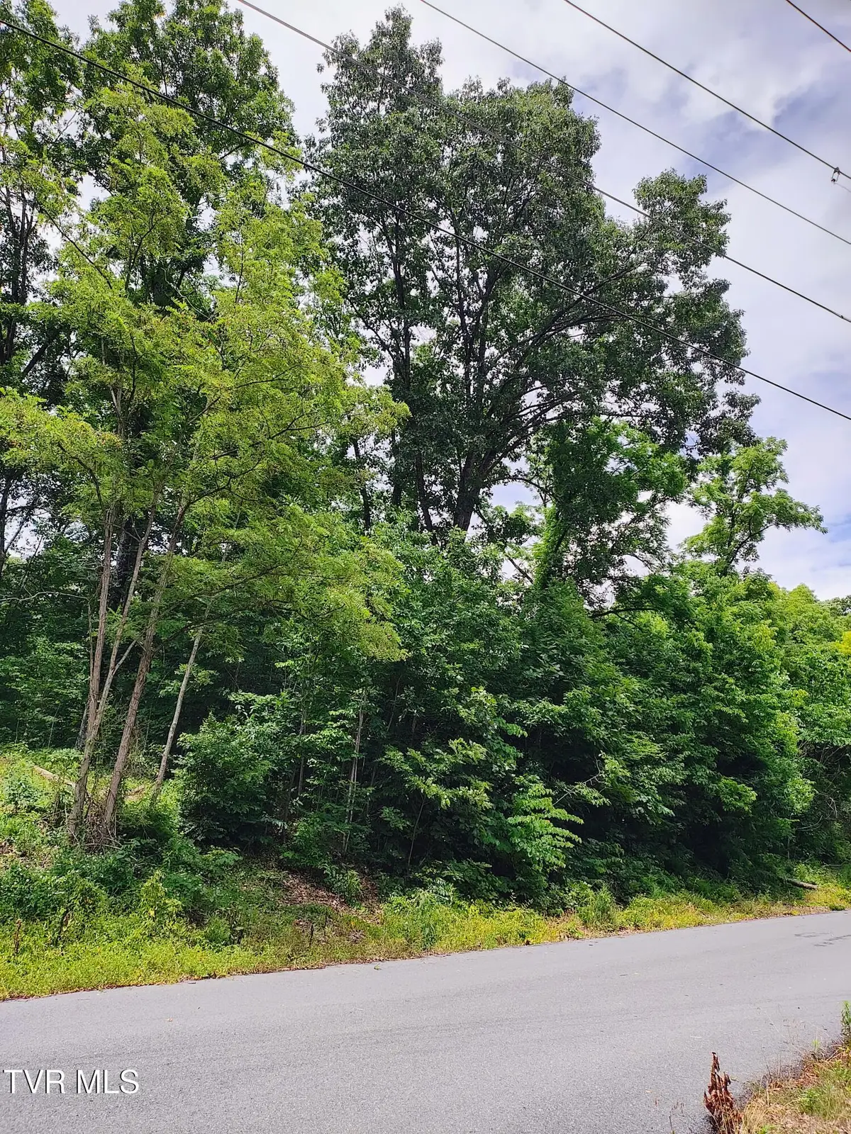 Lot 5 Pond Springs Road, Kingsport, TN 37664 - #1