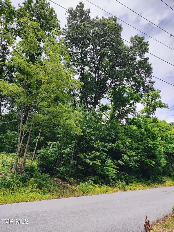 Lot 5 Pond Springs W Road, Kingsport, TN 37664
