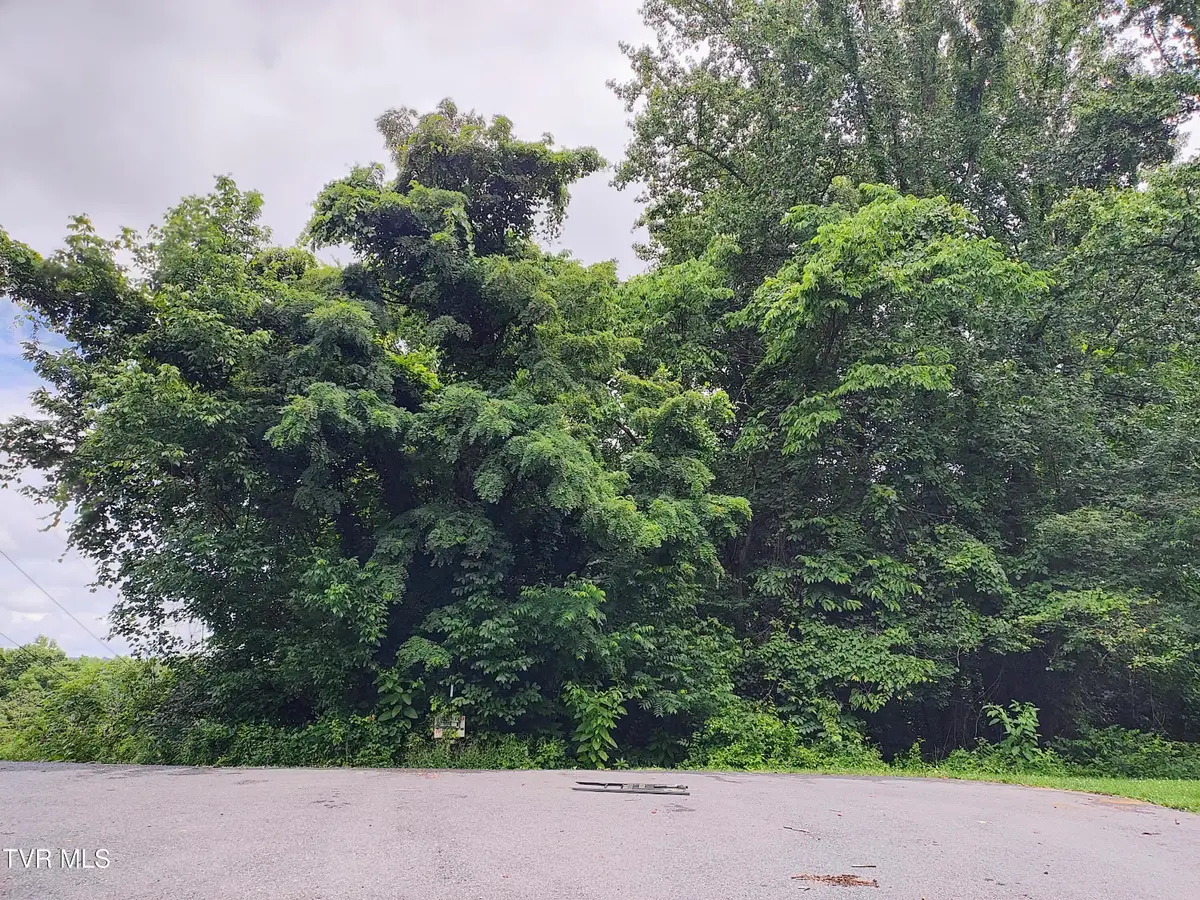 Lot 51 Raven Circle, Kingsport, TN 37664 - Image #1