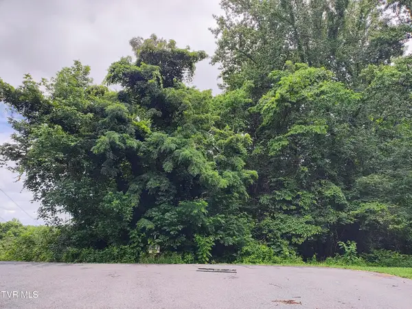Lot 51 Raven Circle, Kingsport, TN 37664