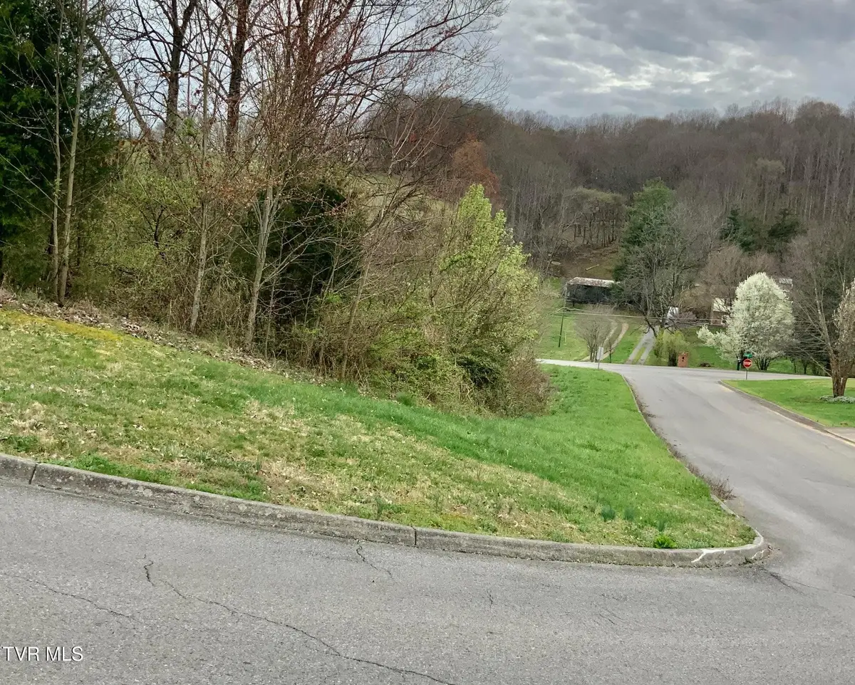 13 Highland Meadows Drive, Blountville, TN 37617 - Image #1