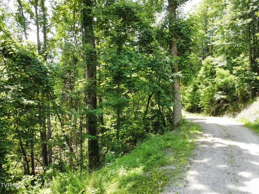 N Heaton Branch Road, Butler, TN 37640 - Image #2