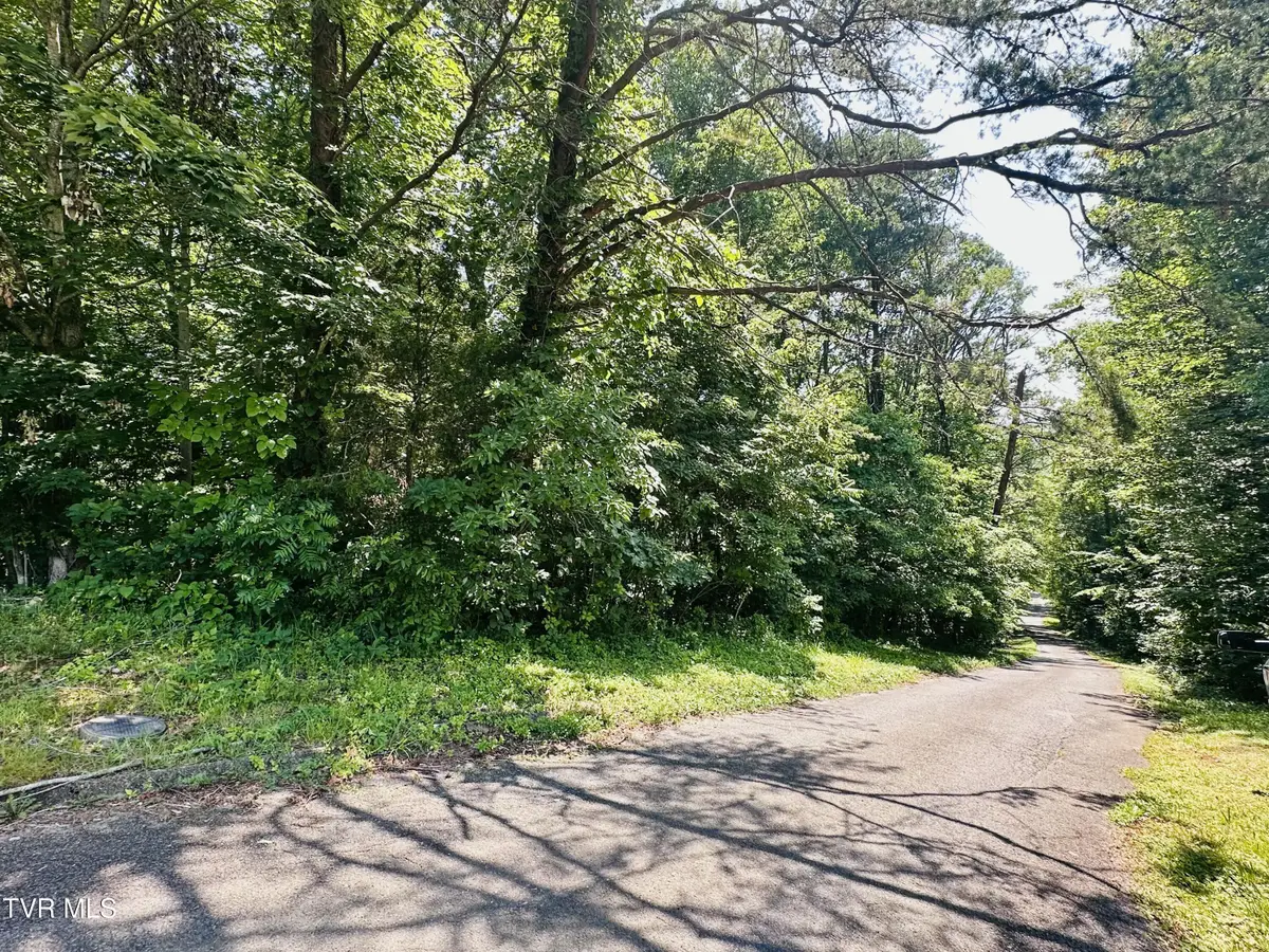 Hillside Hillside Drive, Central, TN 37601 - Image #1