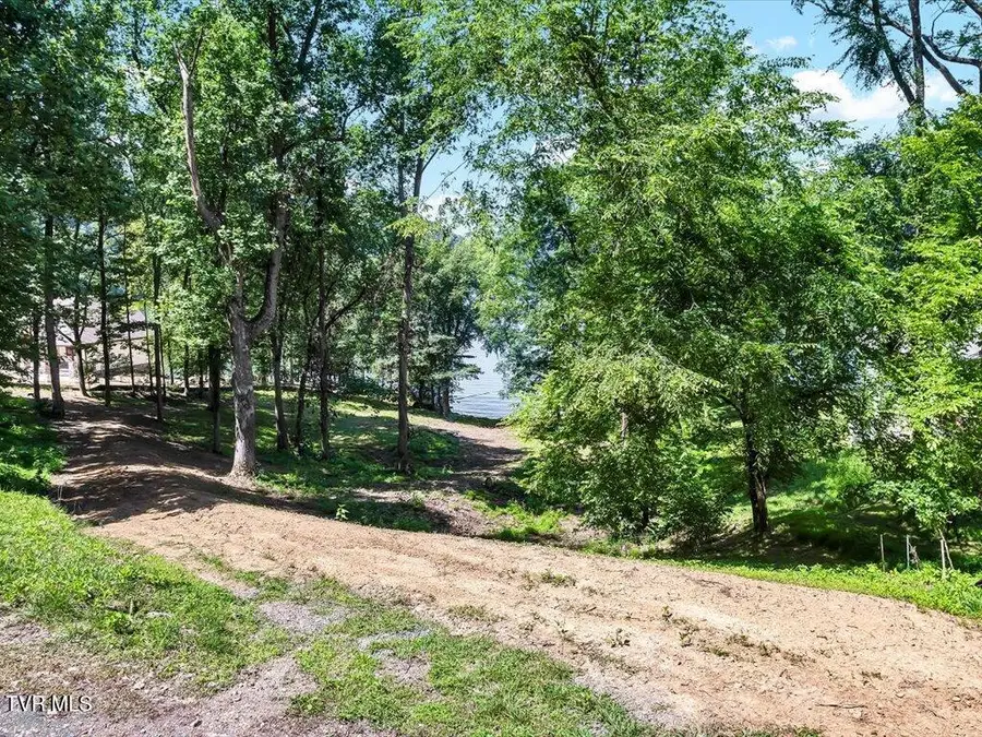 Lot 11 Walnut Bend Drive, Whitesburg, TN 37891 - Image #3