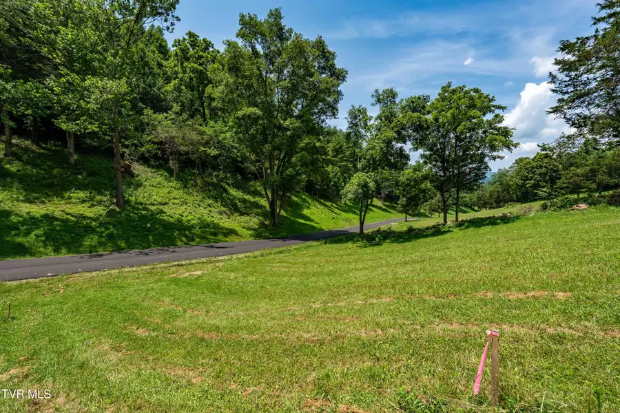 Lot #18 Vineyard Valley Drive, Butler, TN 37640 - Image #3