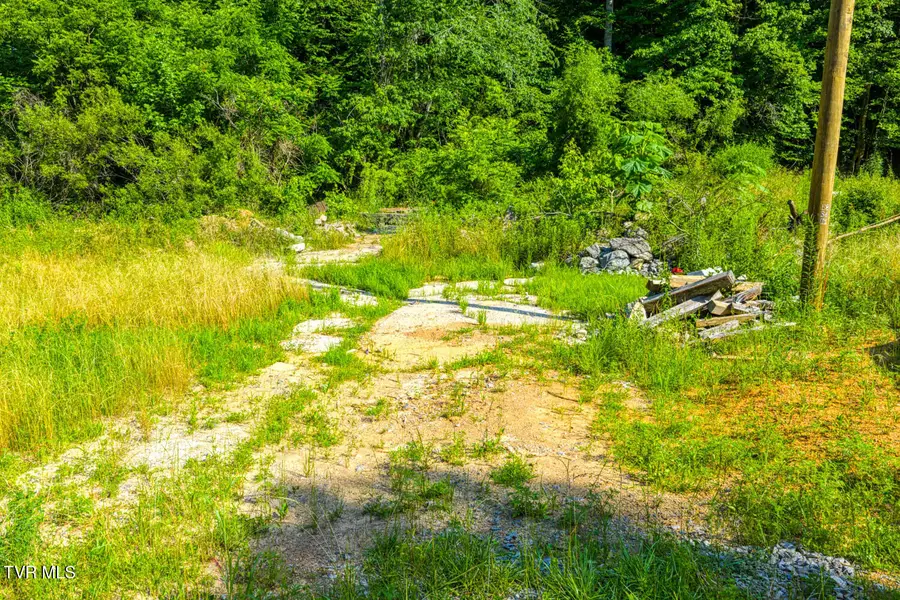 115 Willis Road, Rogersville, TN 37857 - Image #2