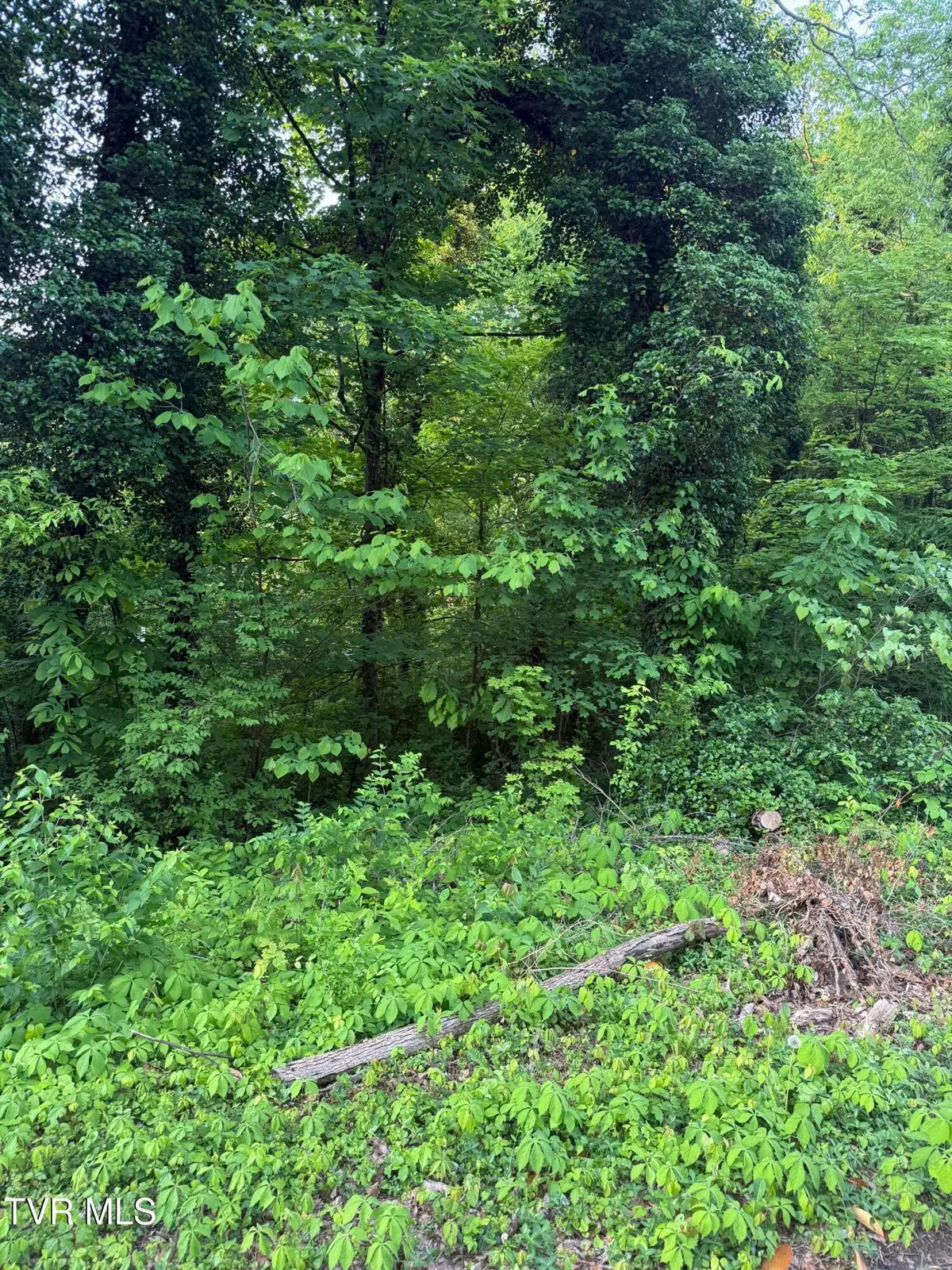 Lot 16 Ashley Street, Kingsport, TN 37664 - Image #1