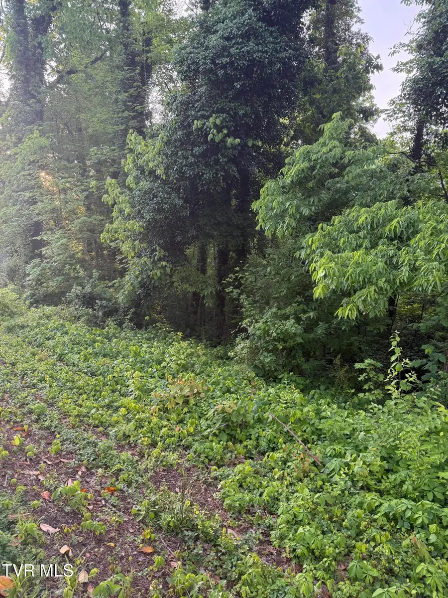 Lot 16 Ashley Street, Kingsport, TN 37664 - Image #3