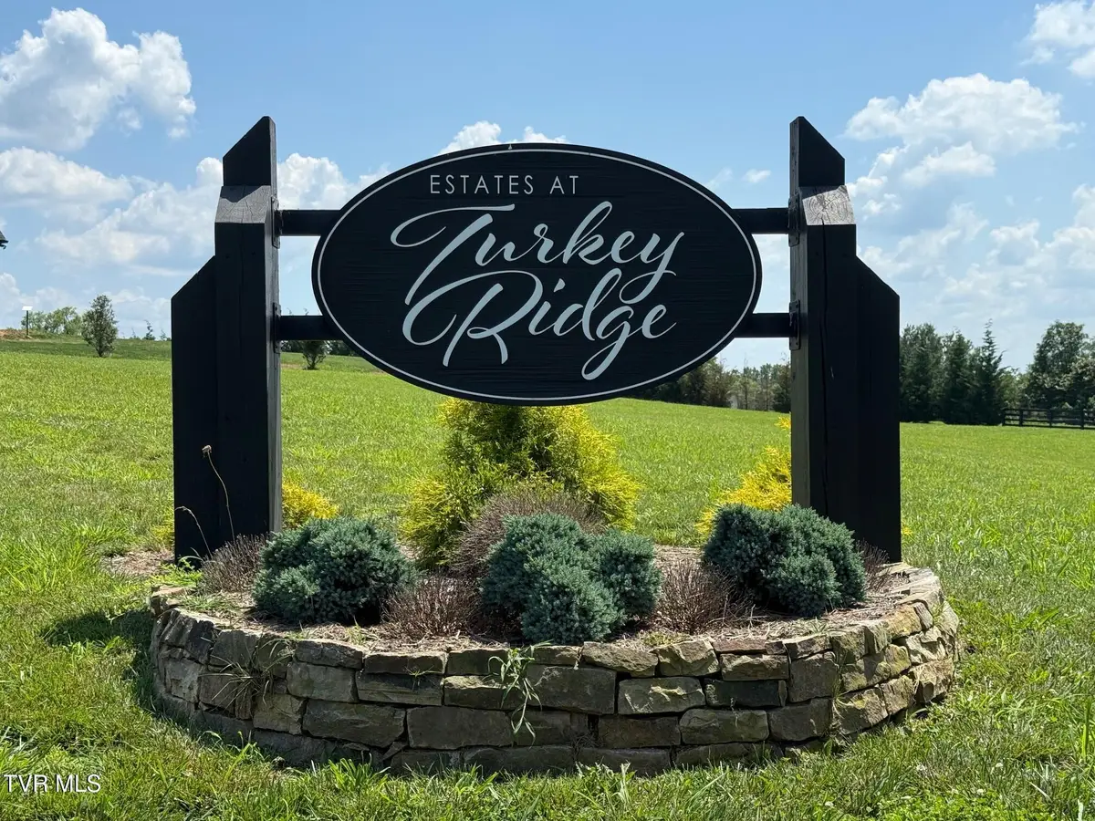 Lot 2 Turkey Ridge Lane, Piney Flats, TN 37686 - Image #1