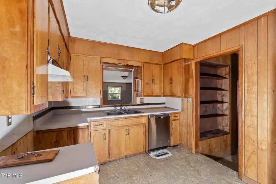 203 Hogan Avenue, Greeneville, TN 37743 - Image #3