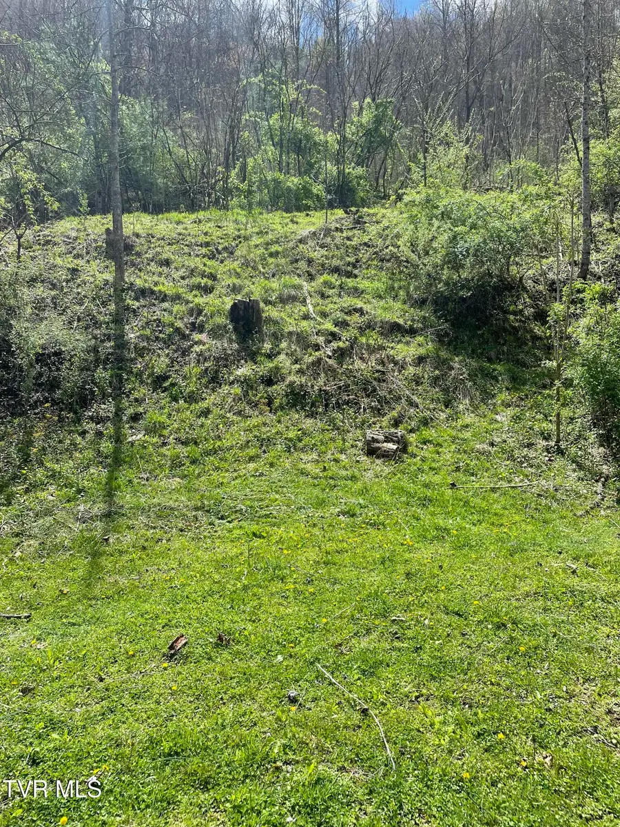 Tbd Crabtree Hollow, Clintwood, VA 24228 - Image #2