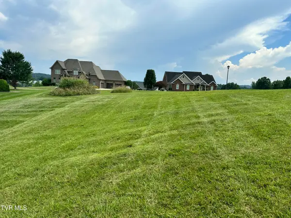 129 Forest Lane, Blountville, TN 37617