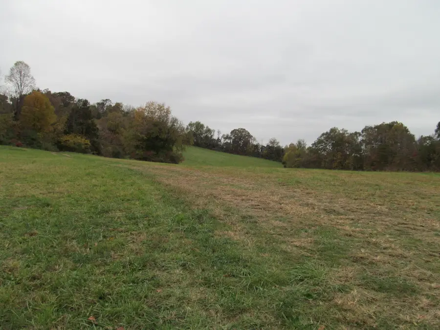 793 S Pickens Bridge Road, Gray, TN 37615 - Image #2