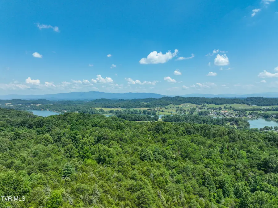 133 Acres Devault Bridge Road, Piney Flats, TN 37686 - Image #3